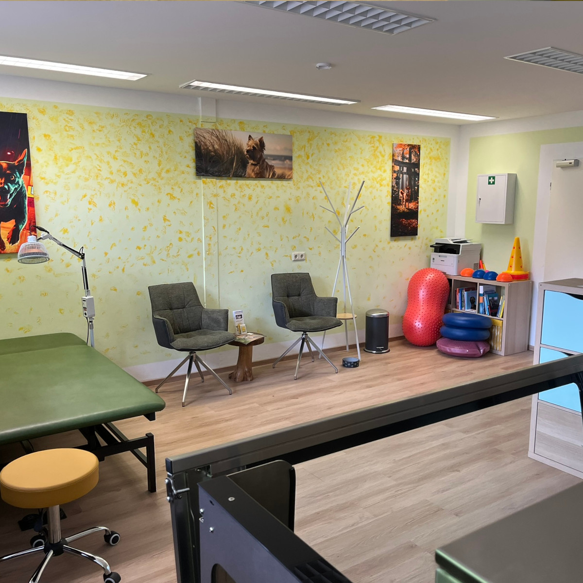 Campus Praxis für Hundephysiotherapie